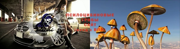 спиды Остров