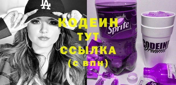 СК Няндома
