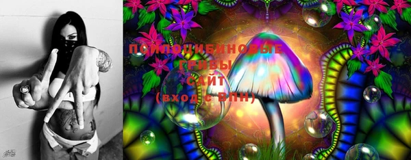 эйфоретик Осинники
