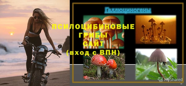 СК Няндома