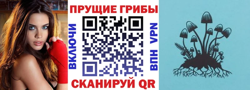 Галлюциногенные грибы GOLDEN TEACHER  Каневская 