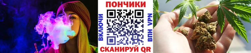 наркота  Каневская  Шишки марихуана OG Kush 